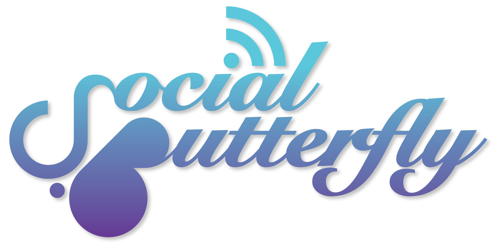 Proposed Identity For San Francisco Startup Social Butterfly A Media